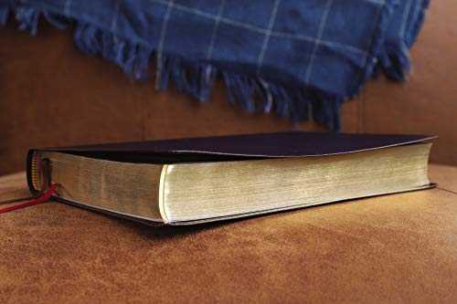 NIV, Thinline Bible, Giant Print, Bonded Leather, Burgundy, Red Letter, Comfort Print