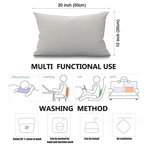 Smooffly Grunge American Flag USA Flag Black and White Waist Lumbar Cotton Linen Home Living Room Decorative Throw Pillow Cases Cushion Cover 12x20 Inch Rectangle Waist Pillowcase - color: Md035