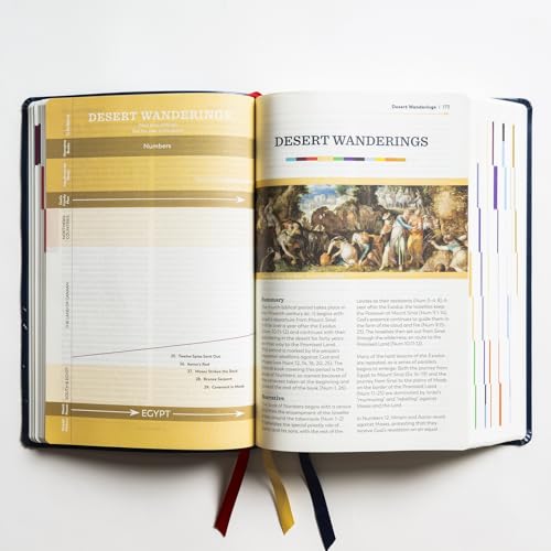 The Great Adventure Catholic Bible, Second Edition (Large Print)