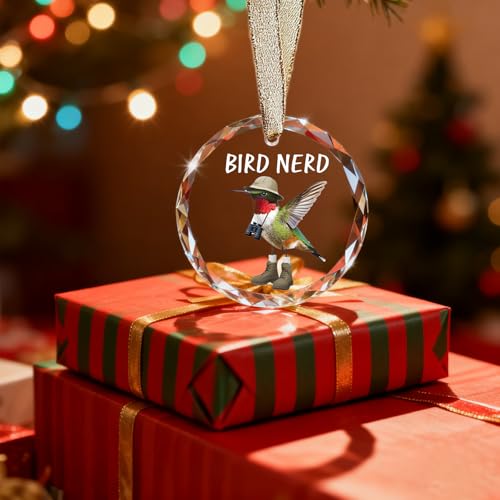 Funny Bird Watching Gifts - Hummingbird Sun Catchers Indoor Window, Humming Bird Suncatchers for Windows Hanging, Unique Cool Briding Gift for Mothers Day, House Warming Gifts New Apartment - color: Blgs013