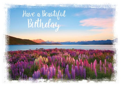 Christian Art Greetings Card-Boxed-Scenic View Assorted Birthday (KJV) (Box Of 12)