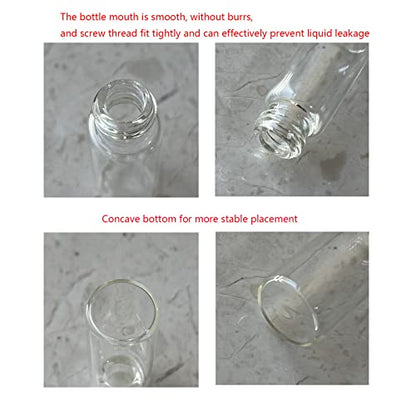 12PCS 4ml Clear Glass Small Vials with Screw Caps & Plastic Stoppers - size: 4ml