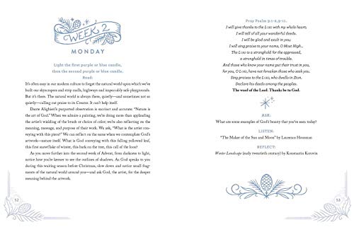 Shadow and Light: A Journey into Advent