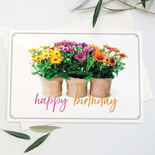 KJV Birthday Greeting Cards, 24 Count - size: 4.7 x 6.5 inches