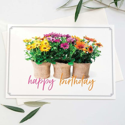 KJV Birthday Greeting Cards, 24 Count - size: 4.7 x 6.5 inches