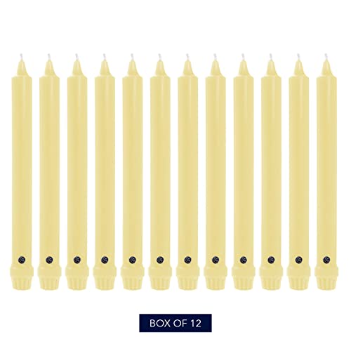 Colonial Candle Unscented Taper Candle, Classic Collection, Limoncello, 12 in, Pack of 12 - Up to 10 Hours Burn - color: Limoncello, size: 12 In, style: Classic
