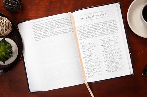 The Passion Translation New Testament (2020 Edition) Giant Print Plum: With Psalms, Proverbs, and Song of Songs – A Modern, Easy-to-Read Bible