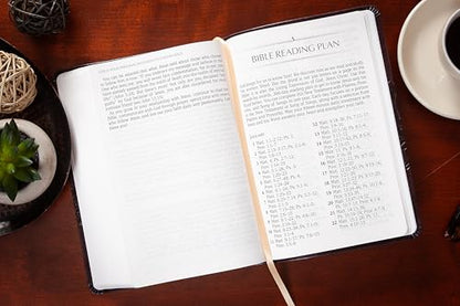 The Passion Translation New Testament (2020 Edition) Giant Print Plum: With Psalms, Proverbs, and Song of Songs – A Modern, Easy-to-Read Bible