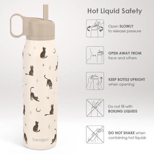 Cat Stainless Steel Water Bottle with Twist Lid 20oz, Travel Insulated Water Bottles for Sports & Gym, Gift for Women Girls Friends Pet Lovers Cat Moms Birthday Christmas - color: Cat