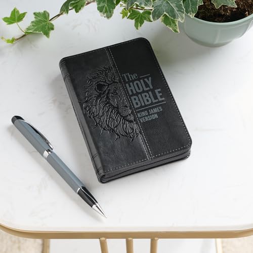 KJV Holy Bible, Mini Pocket Size, Red Letter, Reading Plan, Thematic Verse Finder, Ribbon Bookmark, King James Version, Vegan Leather, Black/Gray Zipper Closure, 6.2" x 4.3" (KJV Pocket Editions)