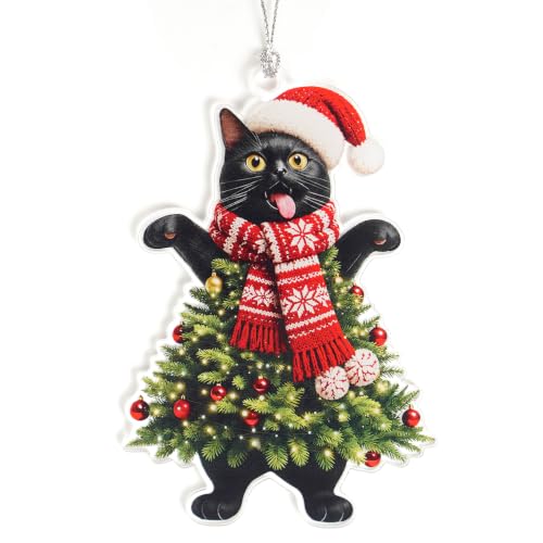 Black Cat Christmas Ornaments 2026, Funny Christmas Tree Ornaments, Cat Ornament Gift for Kitty Mom Kitten Dad, Gifts Specially Prepared for Pet Owners, Funny White Elephant Gifts - color: Black Cat