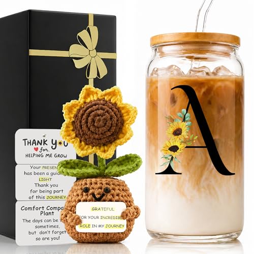 2 in 1 Personalized Glass Drinking Cup and Emotional Support Crochet Office Desk Sunflower Decor Women Paraprofessional Appreciation Admin Day Coworker Friend Thank You Gifts Social Worker Teacher A - style: Initial-A