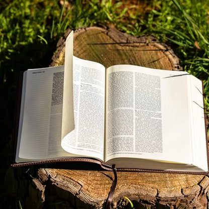 Farm and Posh Personalized NIV Journaling Bible (Family Name Bottom Right)