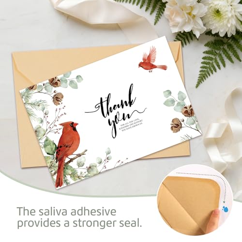 C2U 24 Pack Funeral Thank You Cards with Envelopes & Stickers – Cardinal Bird Branch Sympathy Cards for Bereavement, Memorial Service – Pre-Printed Condolence Cards with Space to Write – 4x6 Inch Acknowledgment Notes for Loved Ones (24)