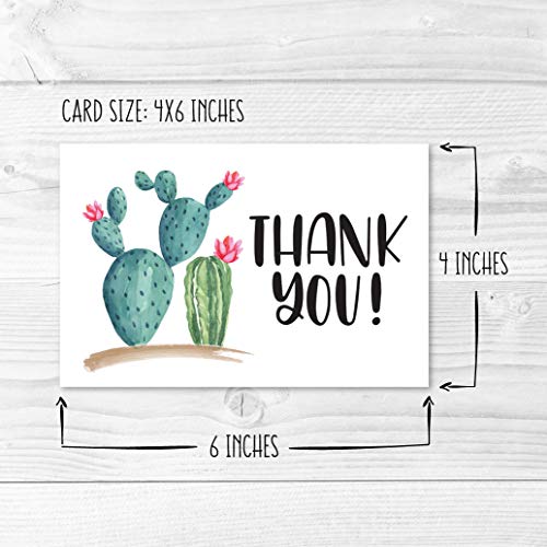 24 Bulk Thank You Cards with Envelopes Blank Cute Thank You Notes - color: Succulent