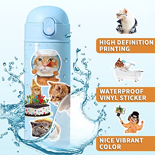 Cat Stickers for Kids Teens Girls Adults, 100 Pcs Cute Cat Stickers, Vinyl Waterproof Animal Sticker for Water Bottle, Laptop, Luggage, Phone, Skateboard - color: Cat