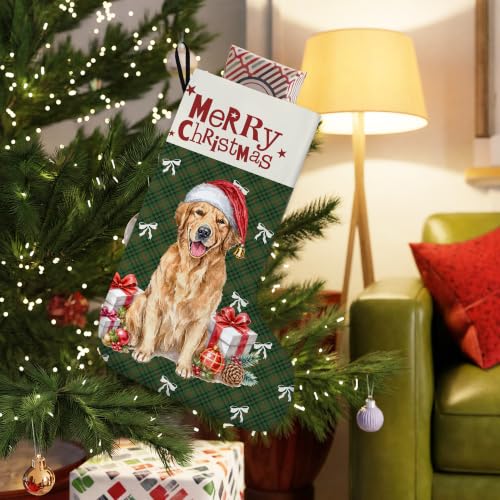 Golden Retriever Green Plaid Christmas Stockings 16 Inch - color: Christmas12