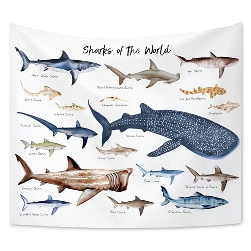 KAIOUS Shark Wall Hanging Tapestry for Kids, 50x58 - color: Shark, size: 58"L x 50"W
