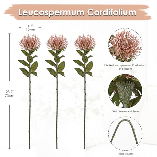 3Pcs Pink Artificial Flowers Chrysanthemum Fake Flowers Leucospermum Cordifolium 28.3'' Long Stem Spider Mum Flower Arrangement Faux Pincushion Flowers for Office Centerpiece Bouquet Home Decor - color: Pink
