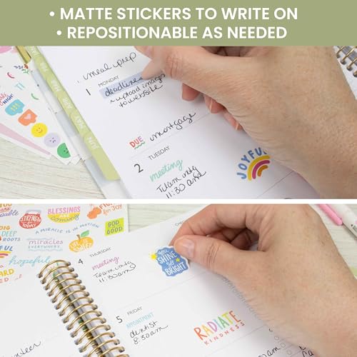bloom daily planners x Cleerely Stated Rooted in Faith Sticker Pack - 8 Sheets /540 Stickers - Christian Planner Stickers for Journaling, Religious Encouragement, Bible Study, Prayer & Devotionals - color: Bright