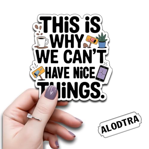 (3PCS) This is Why We Can't Have Nice Things Vinyl Sticker Pack Durable Waterproof Stickers for Laptop Water Bottle Car Bumper Phone Case - color: This is Why We Can't Have Nice Things