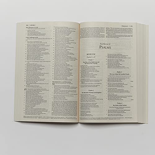 NKJV, Economy Bible, Paperback: Beautiful. Trustworthy. Today