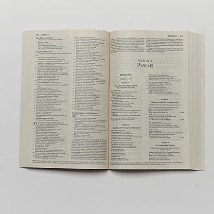 NKJV, Economy Bible, Paperback: Beautiful. Trustworthy. Today
