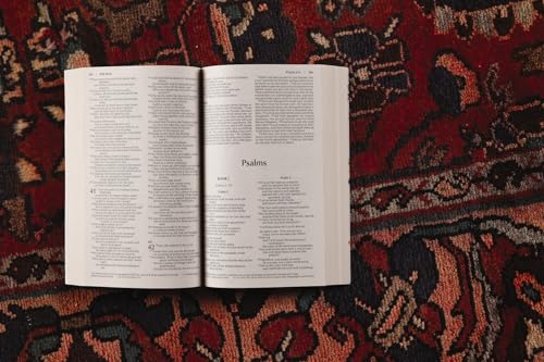 NIV, Bread of Life Outreach Bible, Paperback