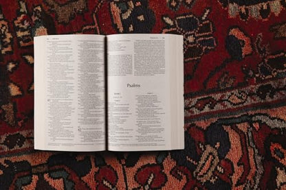 NIV, Bread of Life Outreach Bible, Paperback