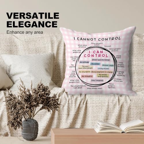 Circle of Control Mental Health Pink Pillow Covers 18x18, Therapy Office Decor, I Can and Cannot Control Decorative Throw Pillow Covers for Classroom School Counselor Office - color: Circle of Control-2