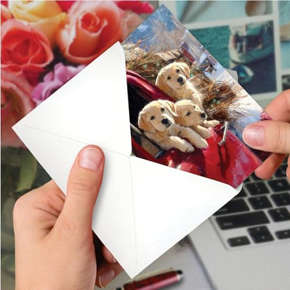 NobleWorks Get Well Paper Card with 5 x 7 Inch Envelope (1 Card) Yellow Lab Winter Pups - Pickup C11102JGWG - style: Yellow Lab Winter Pups - Pickup