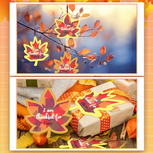 Chiisong 24 Sets Fall Maple Crafts Kit DIY Maple Leaf Suncatcher Craft Kit - style: Fall Maple