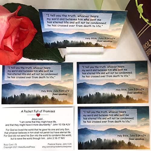 A Sinner's Prayer Pocket Cards, Gospel Tracts, Evangelism, Salvation Scriptures, Prayer Cards, John 3:16, 3.5x2 Variety Pack 3 Styles, 75 Cards