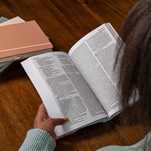 CSB Outreach Bible for Kids, Trade Paper, Black Letter, Presentation Page, Kid-friendly Gospel Presentation, Easy-to-Read Bible Serif Type