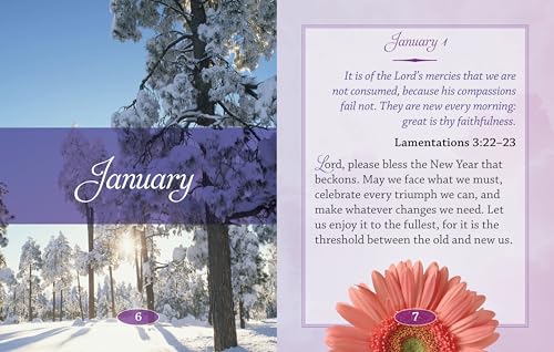 Daily Prayers & Blessings - Large Print (Deluxe Prayer Books)