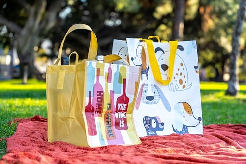 Earthwise Reusable Shopping Bags Extremely Durable Multi Use Large Stylish Fun Foldable Water-Resistant Totes Design - Friends (Pack of 6)