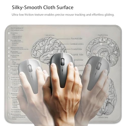 Biology Diagram of Human Brain Anatomy Mouse Pad, Science Durable Desk Mat - color: Brain Illustration