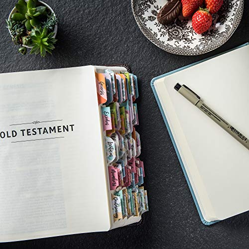 DiverseBee Laminated Bible Tabs for Women and Men (Diverse Theme) - color: Diverse