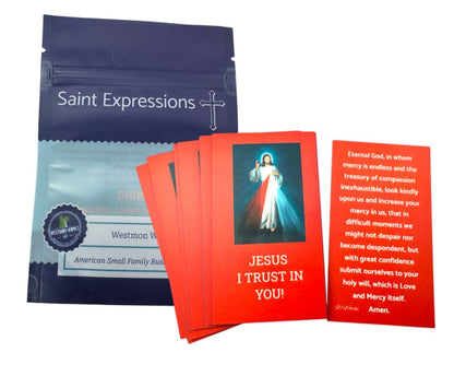 Divine Mercy Holy Cards Bulk Bundle Prayer Pack for School Set of 25