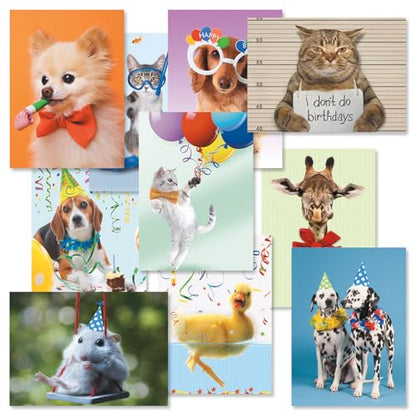 Current Happy Birthday Greeting Card Set - style: Animal