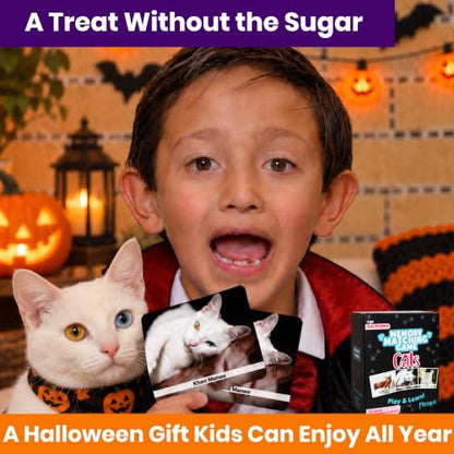 Menique Cat Memory Game – 70 Cards with Real Photos of 35 Cat Breeds – Bilingual Matching Card Game with Fact Booklet – Great Boo Basket Stuffer & Halloween Favor - style: Cats