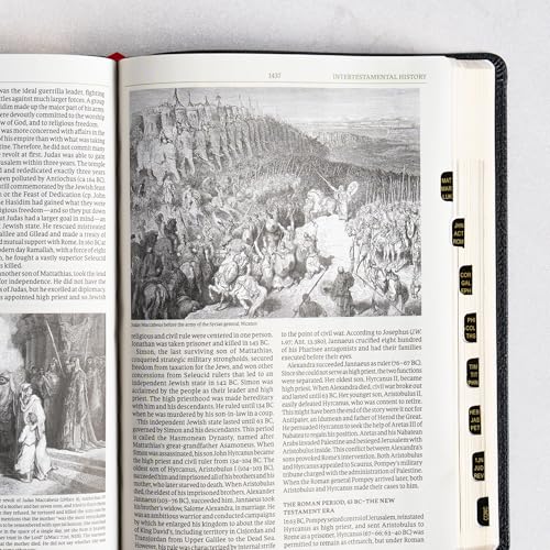 NASB Study Bible, Black Genuine Leather, Indexed, Full-Color, Red Letter, Study Notes and Commentary, Illustrations, Book Introductions, Articles, Word Studies, Outlines, Timelines, Maps