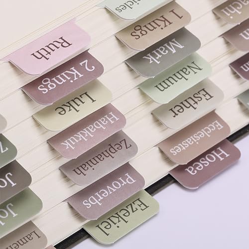 Mr. Pen- Bible Tabs, 75 Tabs, Laminated Bible Tabs for Women and Men - color: Boho 1