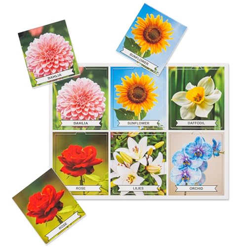 Assistex Matching Game Activity Board - Dementia Activities for Seniors - Memory Games for Adults with Alzheimers - Memory Loss and Alzheimers Activities - Matching Card Memory Games for Seniors - style: Nature Edition