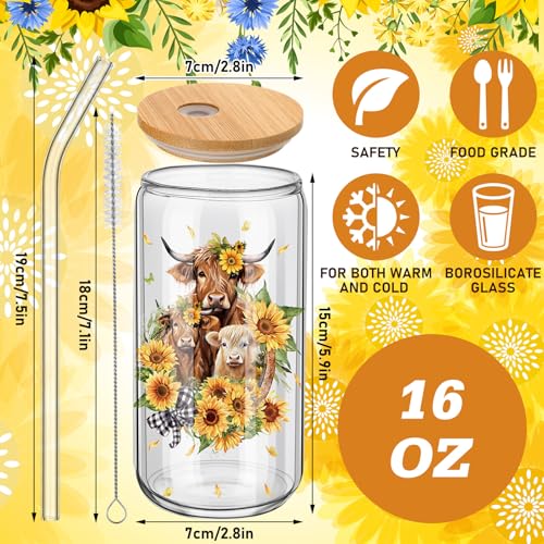 Teenyyou 12 Set of Highland Cow Glasses with Bamboo Lid and Glass Straw 16 oz Summer Drinking Cup Beer Iced Coffee Cup Tumbler Mugs for Teacher's Day Gift Holiday Party Office - style: Highland Cow
