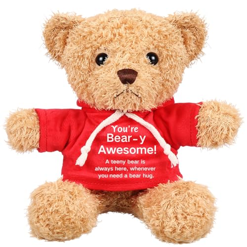 Hollowfly 9.84 Inch Christmas Teddy Bear Stuffed with Positive Messages Cute Red Hoodie Bear Playthings Gifts for Women Men Coworker Birthday Positive Creative Decor - size: 9.84 Inch, style: Clothes-up Bear
