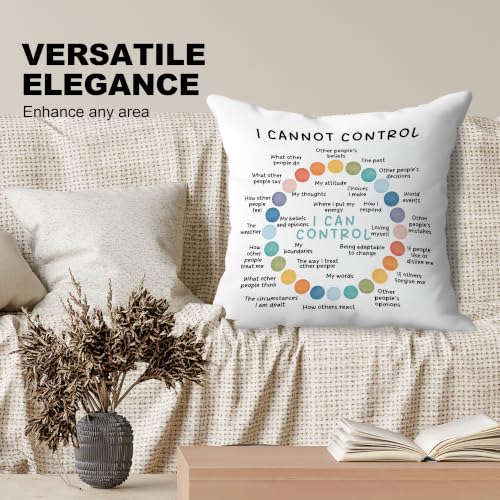 Circle of Control Mental Health Pillow Covers 18x18, Therapy Office Decor, I Can and Cannot Control Decorative Throw Pillow Covers for School Counselor - color: Circle of Control-5