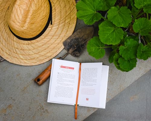 Retirement Rocks! 50 Devotions for All That New Free Time: A 50-Day Devotional to Encourage Your Dreams, Goals, and Relationships During Life’s Next Adventure - Perfect Christian Gift for Retirees