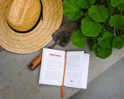 Retirement Rocks! 50 Devotions for All That New Free Time: A 50-Day Devotional to Encourage Your Dreams, Goals, and Relationships During Life’s Next Adventure - Perfect Christian Gift for Retirees