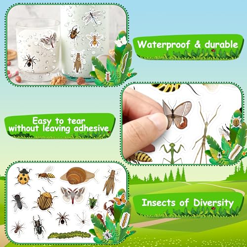 LINAYE 24 Sheets Insect Stickers for Kids Boys Girls, 780 Counts Bug Stickers for Scrapbooking,Water Bottles,Envelopes,Laptop - style: Insects 24 Sheets